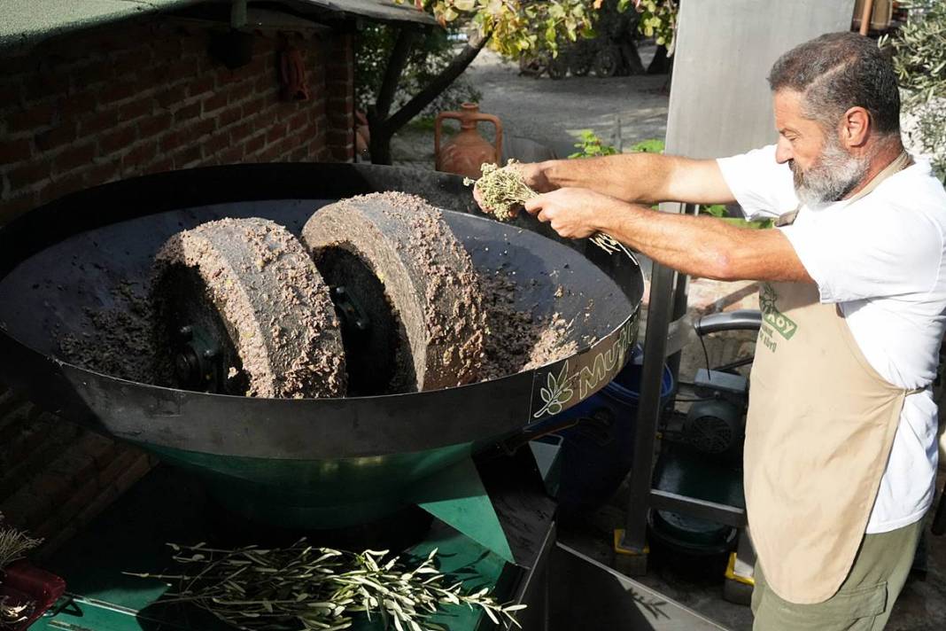 Taş devri yöntemiyle en kral zeytinyağını çıkarıyor! 15
